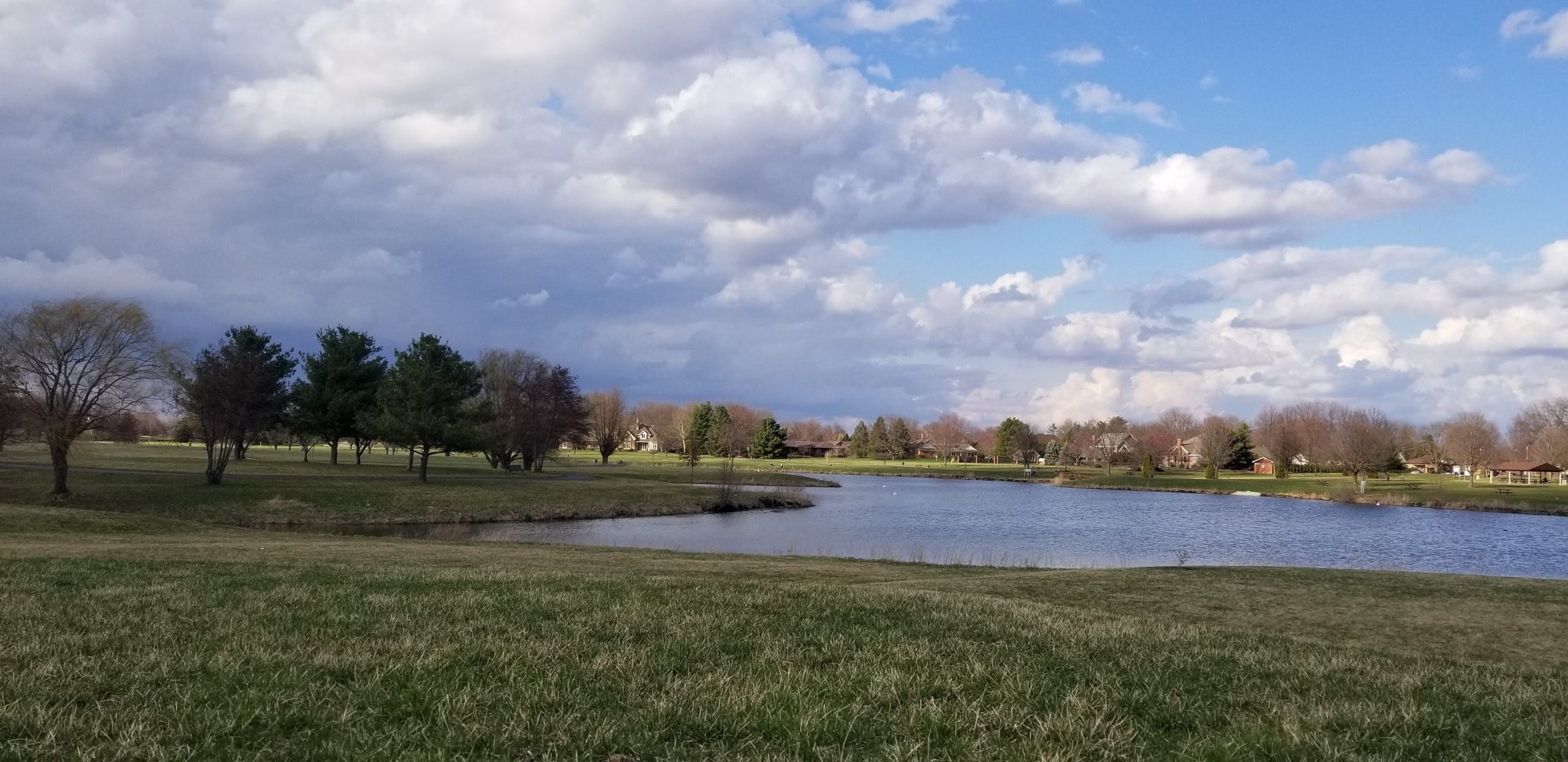 A peaceful landscape featuring a pond, grassy fields, trees, clouds, and distant houses.