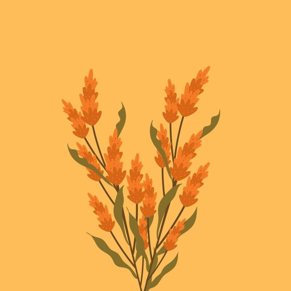 Illustration of orange floral arrangement with green leaves on a yellow-orange background.